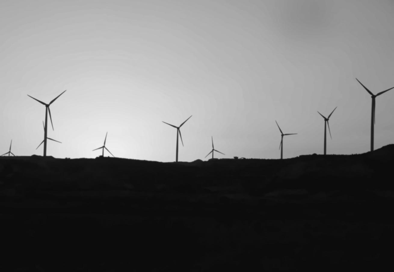 Session de travail collaboratif avec données écologiques